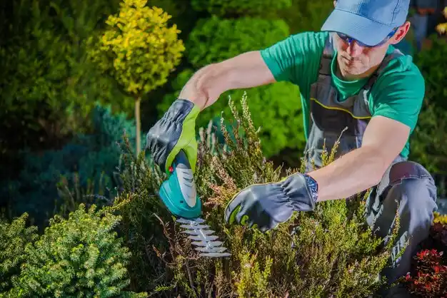 landscaping services Margaretville